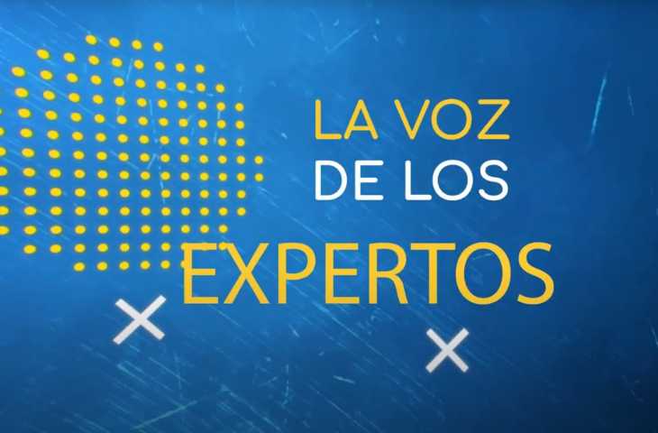 Categoria La Voz de los Expertos