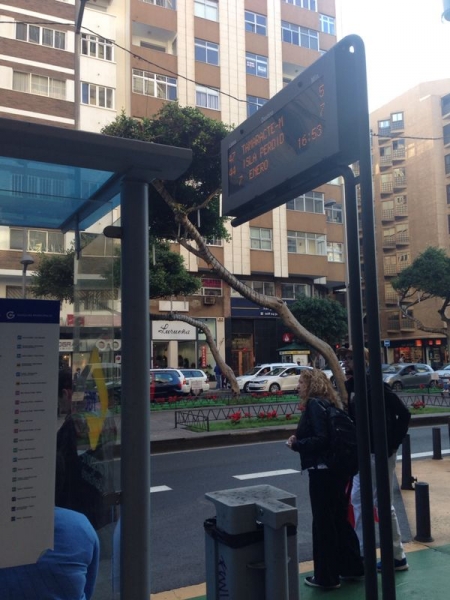 Guaguas Municipales dispone de 42 paradas con paneles de información en tiempo real del horario de paso de los servicios